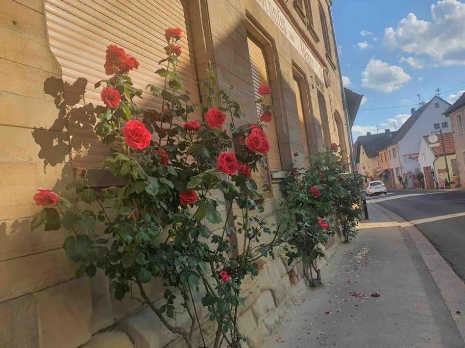 Apartmán Wohlfuehloase Auf 133-160Qm In Der Idylle An Der Nahe Duchroth Exteriér fotografie